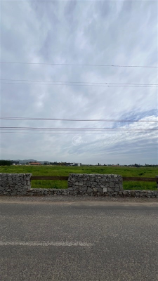 104108487-6