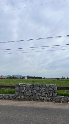 104108487-9