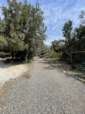 24033-6