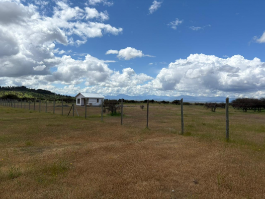 p20254931stj-9