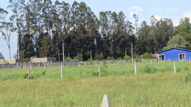 -9