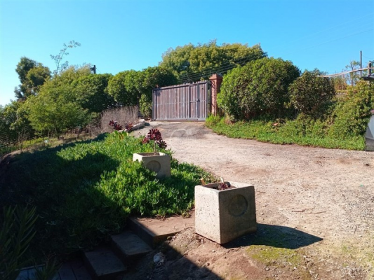-33