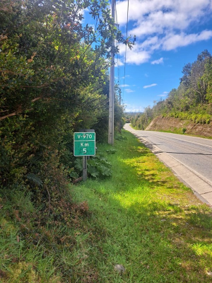 114103676-6