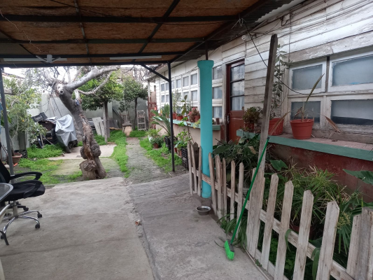 p20255008md0-6