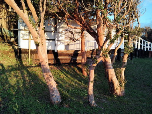 105577-9