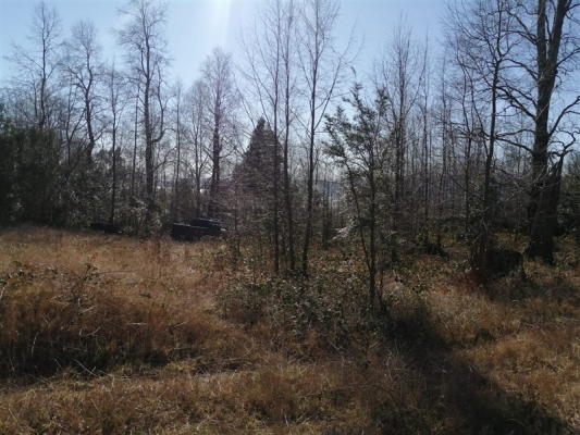 -12