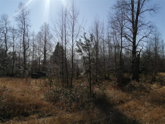 -13