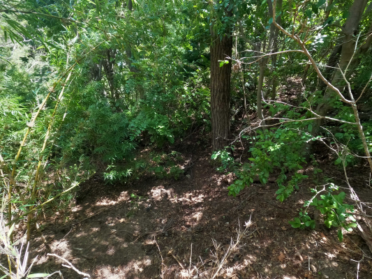 vende-predio-san-fabian,-naturaleza-plena-(78894)-5
