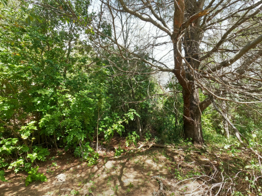 vende-predio-san-fabian,-naturaleza-plena-(78894)-7