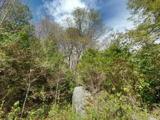 vende-predio-san-fabian,-naturaleza-plena-(78894)-8