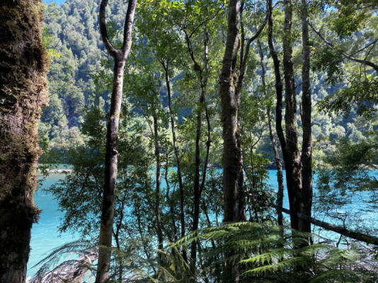 114977-4