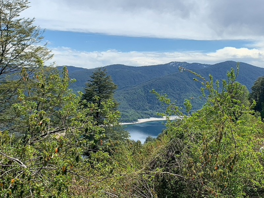 -9