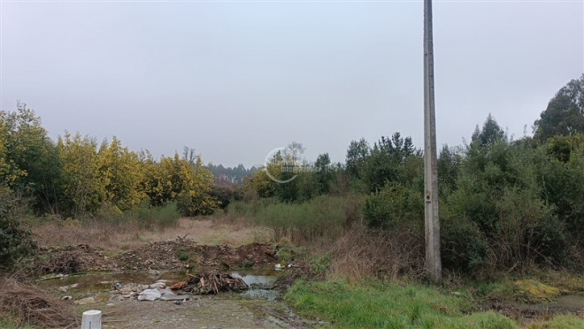 104108466-7