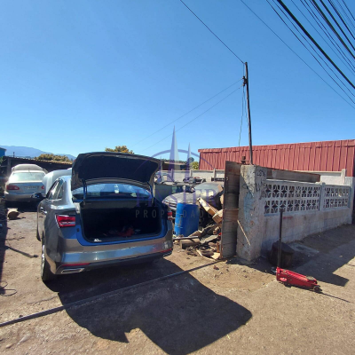 p20255173yel-4
