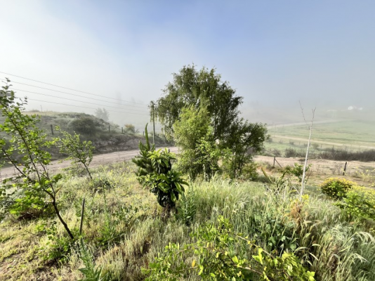 -19