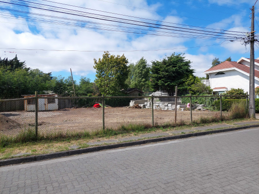 sitio---los-pensamientos-(66330)-4