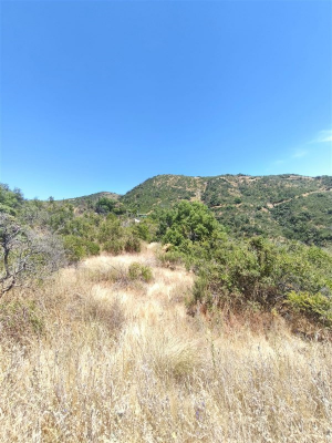 -12