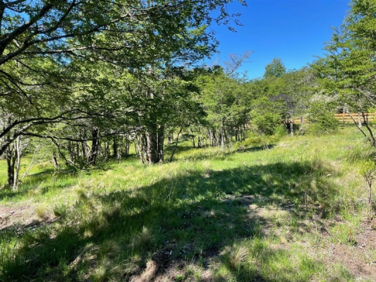 -15
