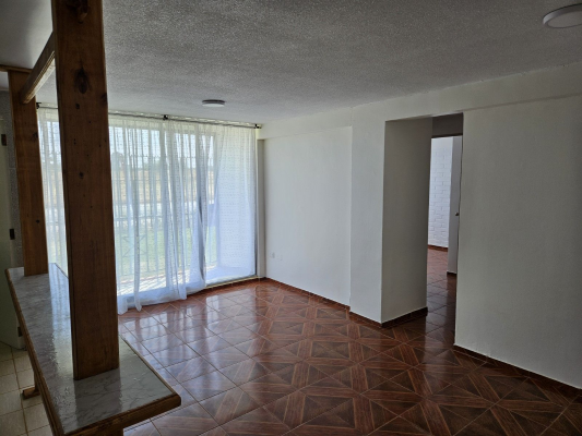 p20255286xji-7