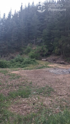 114073577-8