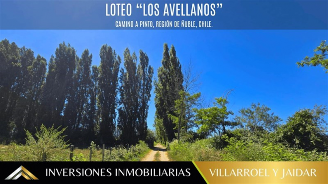 -13