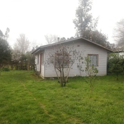 p20254176csl-3