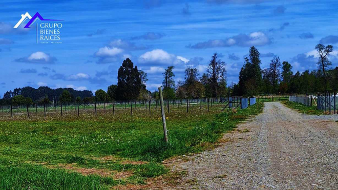 parcela-frutillar-(72449)-4