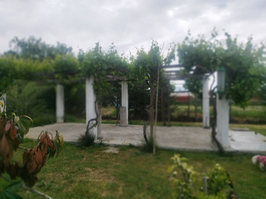 51858-5
