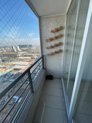 -13