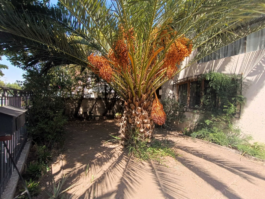 en-venta-proyecto-inmobiliario,-nunoa-(75560)-7