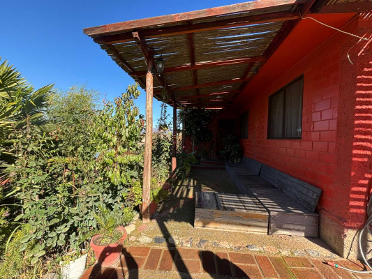 parcela-5700-m2---piscina---arboles-frutales-(-7