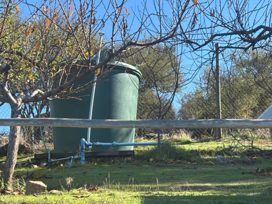 parcela-5700-m2---piscina---arboles-frutales-(-9