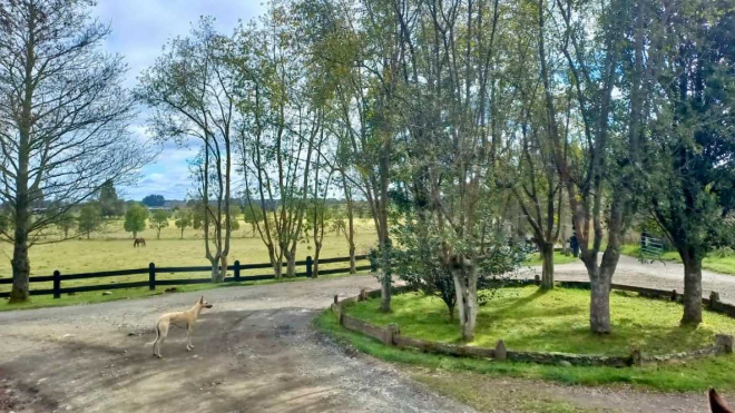 parcelas-en-exclusivo-loteo-en-totoral-(74893)-3