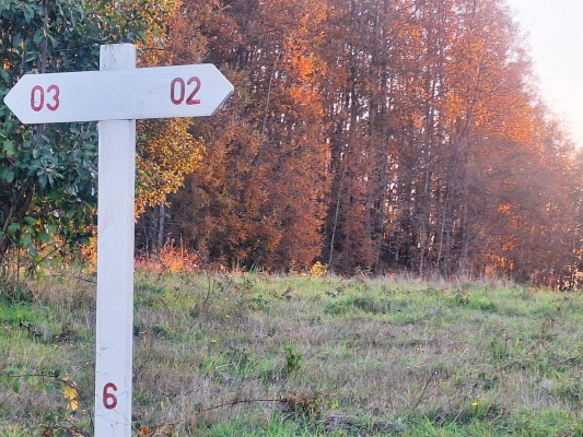 -16