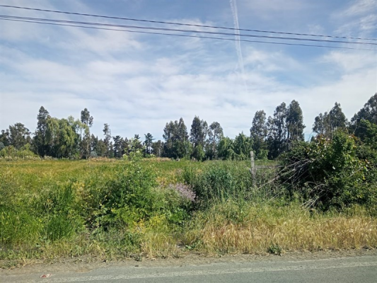 114105790-6