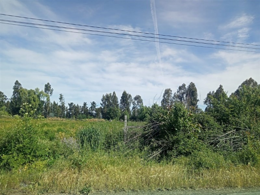 114105790-7