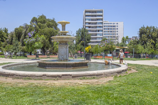 -20
