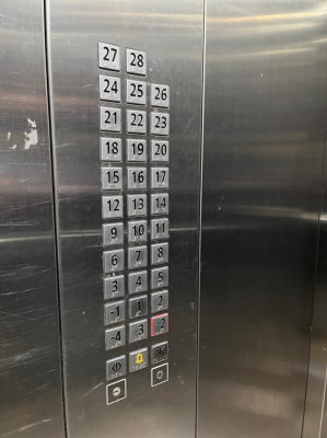-19