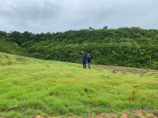-19