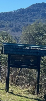 -13
