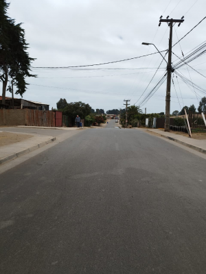 p20265809wop-7