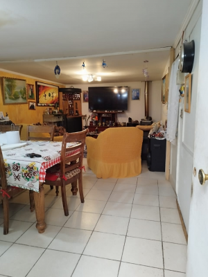 p20265809wop-9