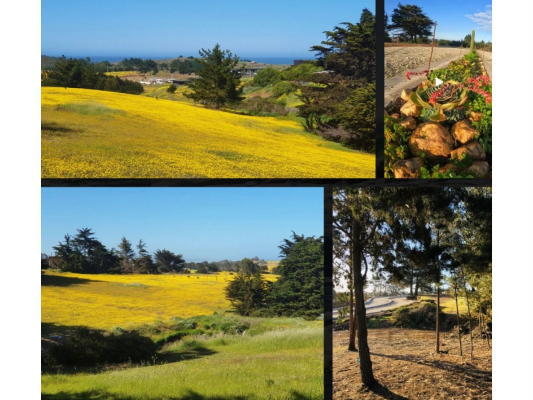 471888-7