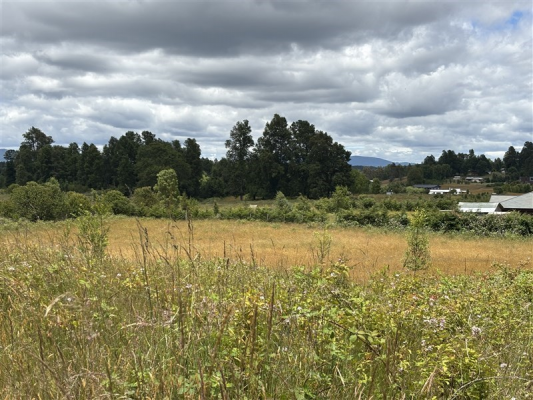-9