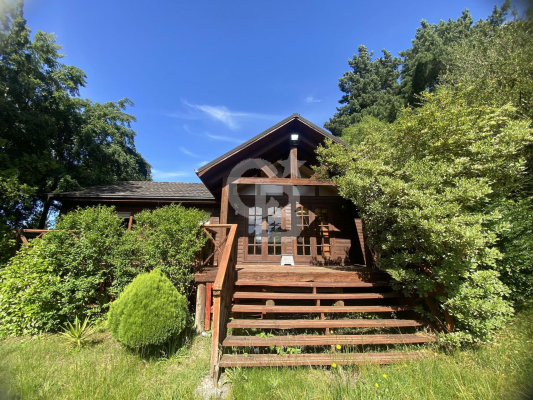 -1