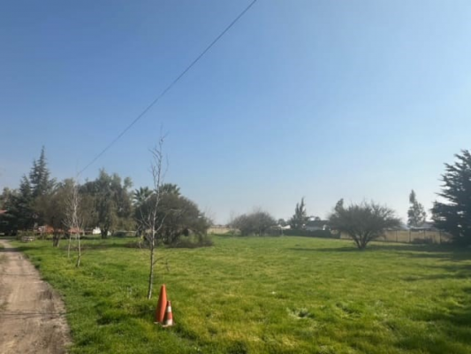 114106682-5