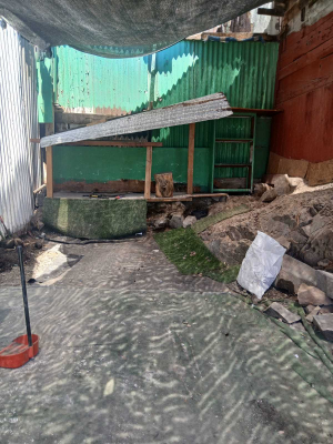 oportunidad-unica-(136736)-8