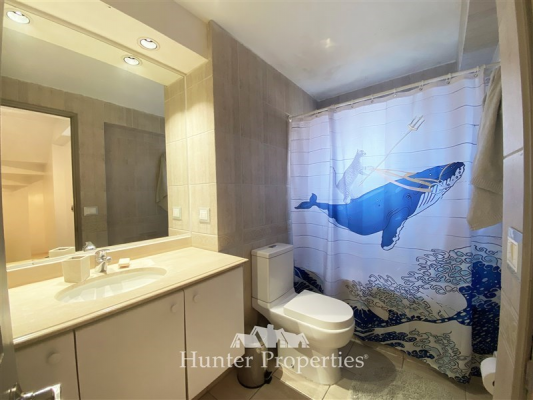 -20