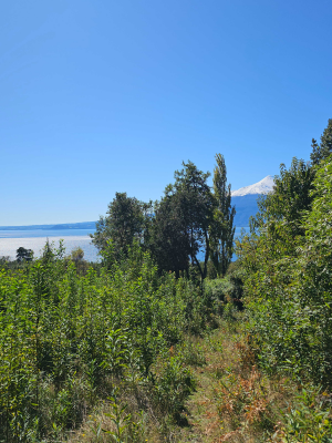 espectacular-parcela-con-vista-al-lago-y-volc-(-9