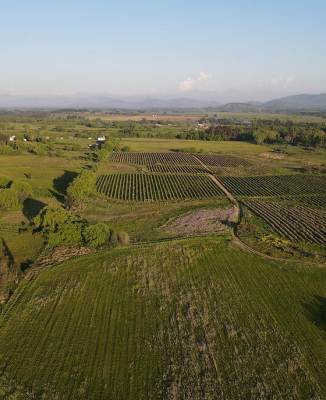 -3